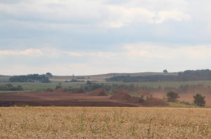 Mousse à noix blanche, 1 pièce, dotée de piatmoss. lt - Product Image 6