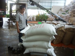 Pimienta Negra de Vietnam 580GL FAQ en Oferta, Pimienta Entera Seca, Exportación a Granel, Suministro de Fábrica al por Mayor - Product Image 5