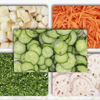 Goedkope prijs China leverancier groothandel automatische 220V snijmachine multifunctionele dubbele kop groentesnijder blokjes snijdende fruitmachine