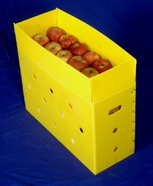 Hộp Nhựa Gợn Sóng Chất Lượng Tốt Nhất Cho Trái Cây Và Rau Quả Hộp Đựng Đóng Gói Ô Tô Tái Sử Dụng Được Hộp Nặng - Product Image 3
