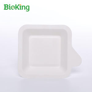 BioKing Assiettes à bagasse jetables biodégradables pour restaurants mariages pour emballage alimentaire Présentoir à sushis - Product Image 5