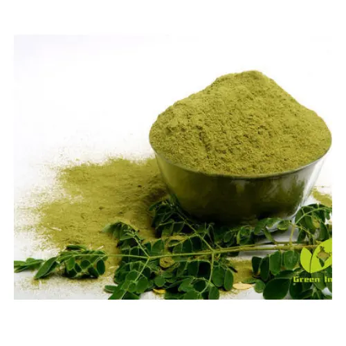 100% Puur Natuurlijke Moringa Leaf Uit Vietnam / Moringa Poeder Met Hoge Kwaliteit En Goedkoopste/Shyn Tran + 84382089109