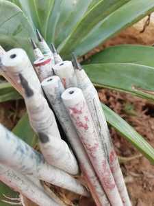 Lápices de Madera Negra Reciclada Hechos con Papel Periódico Viejo, Juego para Regalos y Promociones - Product Image 5