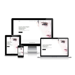 Flowless Bug Free Custom Website Design & Development Company in India | Award Winning Website Development Services by Webroot - Product Image 1