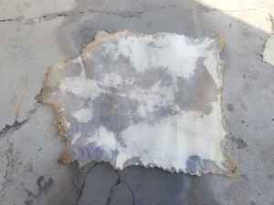 Cuero de Cabra, Pergamino, Vellum, para Muebles, Gran Tamaño, para Sofá, Silla, Cama - Product Image 3