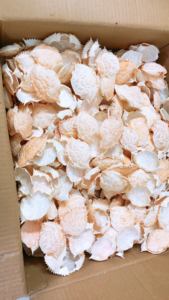 เปลือกปูแห้งทั้งตัว - เปลือกปูแห้งสำหรับคิทิน/วัตถุดิบอาหารจากเวียดนาม ราคาโรงงาน - Product Image 3