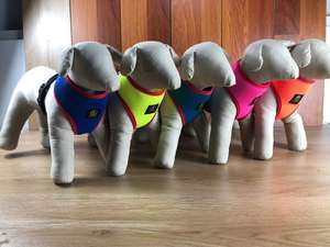 Chaleco de algodón de verano de dibujos animados para perros pequeños Teddy Puppy Pet Apparel FunnyMedium Sección Camisa Ropa de abrigo para exportar a granel - Product Image 2