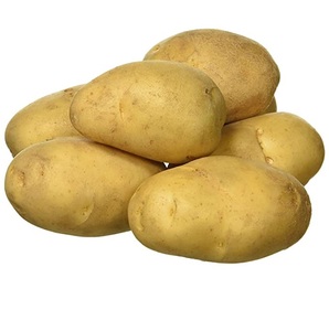 wholesalepotatofrom professional exporter and wholesaler1/6conta