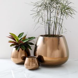 Set of 2 Different Sizes Polished Round Planters Metal Hammered Gold Design for Garden Home or Nursery New Decorative Planter - Product Image 5