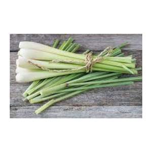 ตะไคร้ธรรมชาติ100% จากเวียดนาม-Jolene TT + 84 336089155 - Product Image 3