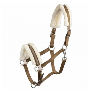 Licol de cheval PP rembourré, réglable et Durable, de haute qualité, Durable, livraison gratuite - Product Image 1