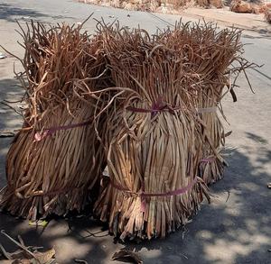 Vente en gros de jacinthe d'eau brute/jacinthe d'eau séchée pour l'artisanat rendant le moins cher-Durable/Shyn Tran - Product Image 3