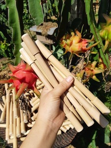 Ensemble de pailles à boire en bambou réutilisables écologiques avec logo personnalisé du fabricant pailles jetables du Vietnam - Product Image 5