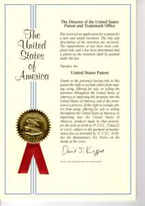 ข้อต่อ Y ทางการแพทย์แบบไม่มีเข็มสำหรับ Gen2 16C001ผลิตภัณฑ์จากท่อขนาด2.8มม. - Product Image 4