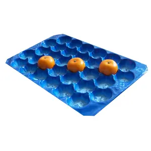 American Market Popular Exporting Quality Standard 39*59cm Blue Packing Rectangular Plastic Fruit Insert Tray for Storage