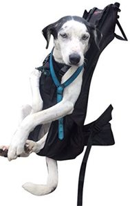 Sac de transport pour animaux de compagnie, accessoire pour les chiens et les chats, idéal pour voyager, collection 2020 - Product Image 4