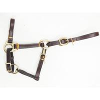 Harnais de cheval en cuir indien véritable, style selle anglaise, accessoires western, FAB International, couleur et taille personnalisées, laiton massif