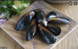 Polvo de muselina <span class=keywords><strong>verde</strong></span>, <span class=keywords><strong>extracto</strong></span> de Perna canaliculus, polvo de muselina con carcasa <span class=keywords><strong>verde</strong></span> liofilizada, en oferta - Product Image 5