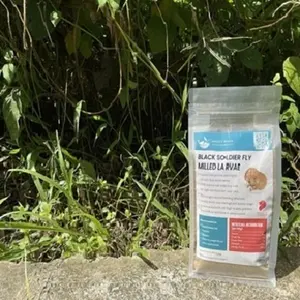 健康食品补充剂高蛋白质黑士兵苍蝇昆虫粉 (研磨幼虫) 500克所有类型的动物