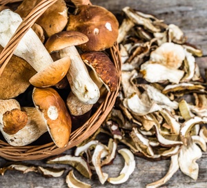 290g champiñones en aceite de oliva madera jarra taza Giuseppe Verdi selección aperitivo hecho Italia - Product Image 3