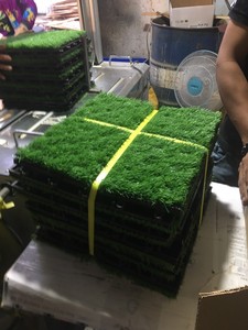 Tấm Lát Sàn Cỏ Tự Làm 300*300Mm Để Trang Trí Nội Thất Ngoại Thất Trang Trí Sân Vườn Trang Trí Sân Thượng Sân Sau - Product Image 3