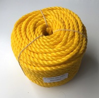 Cordes torsadées en nylon à 3 brins les plus vendues, marque Dan Line, ficelle monofilament, fabricant direct d'usine, PP HDPE Polypropylène