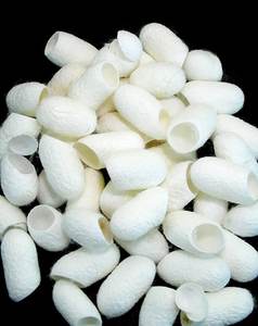 SILKWORM COCOON USE FACE CLEANING FROM VIETNAM/ HIGH QUALITY 100% NATURAL / WA +84 918 509 071 - Product Image 2