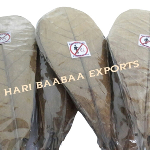 Hojas de almendra India secas naturales con embalaje de plástico Paquete de 10-12 pulgadas de 10 para limpieza de acuarios y agua - Product Image 1