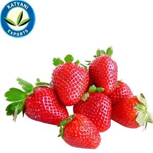 Fournisseur expérimenté d'huile essentielle de graine de fraise naturelle pure de qualité authentique d'Inde - Product Image 1