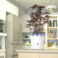 Aqualean Pot plastik dalam ruangan, Pot penyiram sendiri plastik Modern untuk tanaman Desktop & Taman