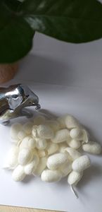 100% Naturel Écologique Fibre De Soie Visage Propre Silkworm Cocoon Écologique Cocons Beauté Soie-Laura - Product Image 3