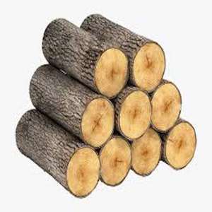 Beech Wood <b>Logs</b> and Lumber/<b>Oak</b> Wood <b>Logs</b> - Product Image 6