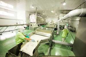 Vietnam Meilleur prix Noix de coco desséchée sucrée biologique à haute teneur en matières grasses de qualité fine et moyenne du fournisseur fiable - Product Image 4