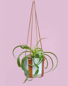 Handmade Magic Leather <b>Plant</b> Hanger - Product Image 1