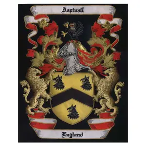 Wapenschild Handgemaakt Borduurwerk Familie Crest Uk Embleem 3d Star Guard Uniformen Familie Crest Oem Ambacht