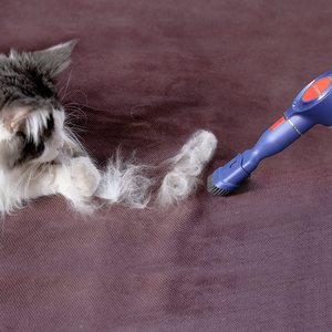 REVE - Product Image 4