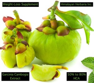 ผงสารสกัดจากส้มแขก - Product Image 3
