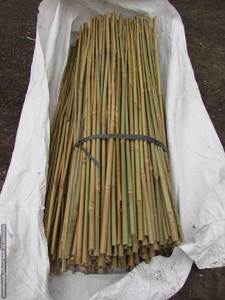 Venta al por mayor en Vietnam Cañas de bambú natural/Estaca de jardín de bambú con alta calidad: fuerte, recto, hermoso para decorar - Product Image 3