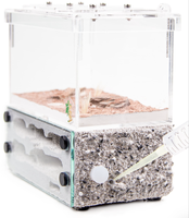 Fourmilière Transparente Grande Capacité avec Accessoires pour Fourmis Empire AD2s-1 Modèle Standard 15x9x15cm – Utilisation Domestique Toutes Saisons