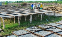 Vente en gros de filets de poisson anchois salés à faible teneur en sel, emballage en vrac, qualité supérieure / Shyn Tran
