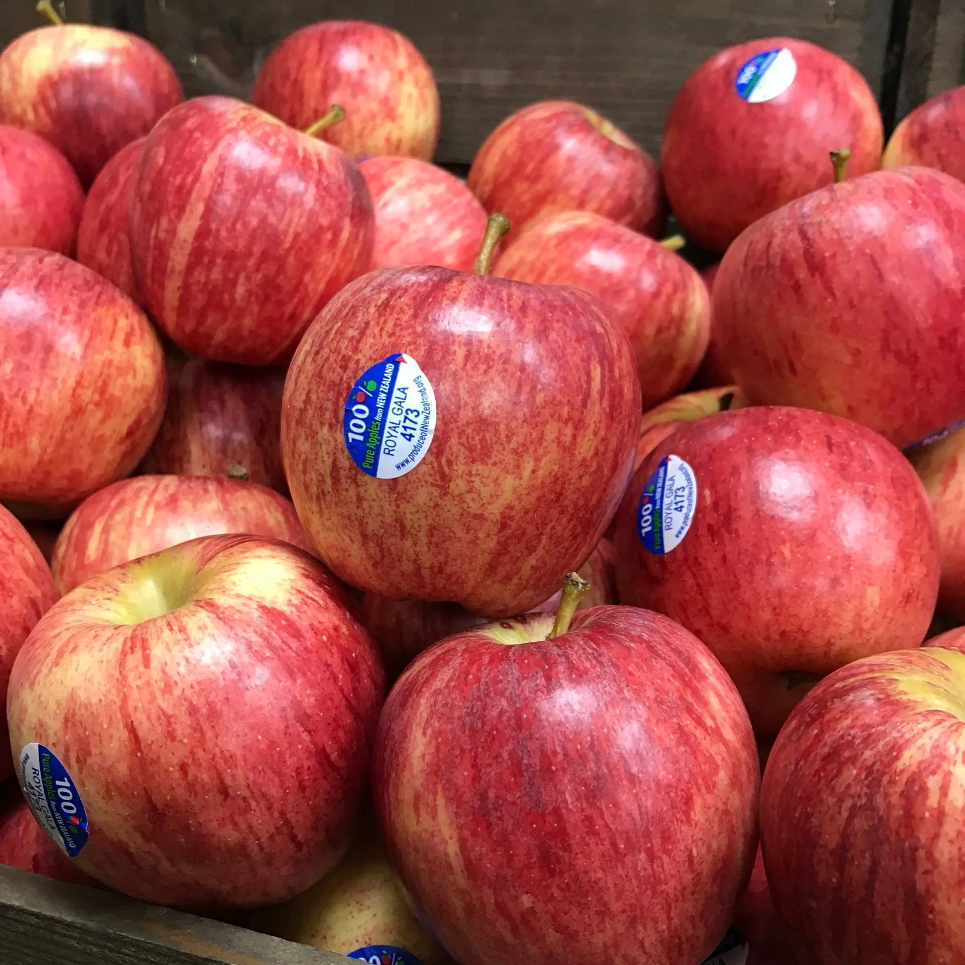 ロイヤルガラレッドリンゴ。ファンシーアップルエクストラファンシー。1リンゴグリーンゴールデンは100から120を数えます