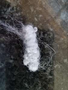 PRIX PROMOTIONNEL FIBRE SYNTHÉTIQUE pour LE REMPLISSAGE DES OREILLERS ET DES MATRASSES - Product Image 5