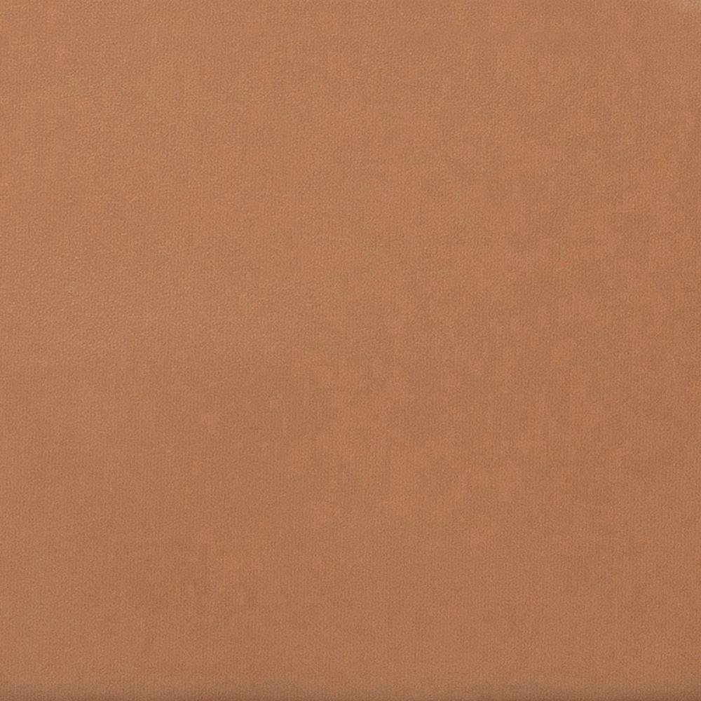 สีน้ำตาลอ่อน