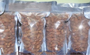 ส่วนลด Malva Nut/Sterculia Lychnophora,/Macromacropodum (WS: 0084987731263) - Product Image 5