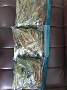 Sans produits chimiques Secs Corossol Feuilles-Helen TP + 84 374 288 086 - Product Image 5