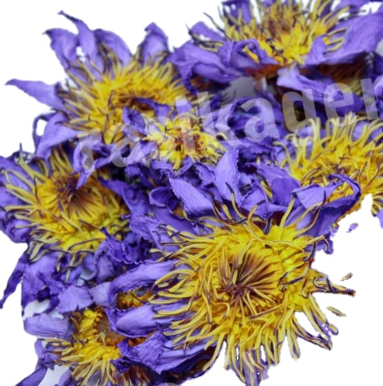 Высушенный чай Lan lian hua из цельных синих цветов лотоса высокого качества для продажи