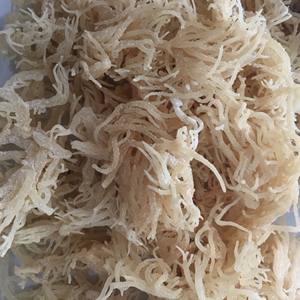 Geles de musgo de mar Morado para elaboración de eucheuma de algodón, 0084817092069 W - Product Image 4