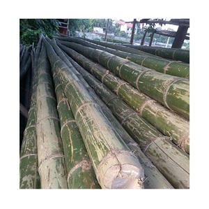 Bastones de bambú Natural ecológicos, para construcción y decoración del hogar, Color Natural, hecho en Vietnam 99GD - Product Image 2