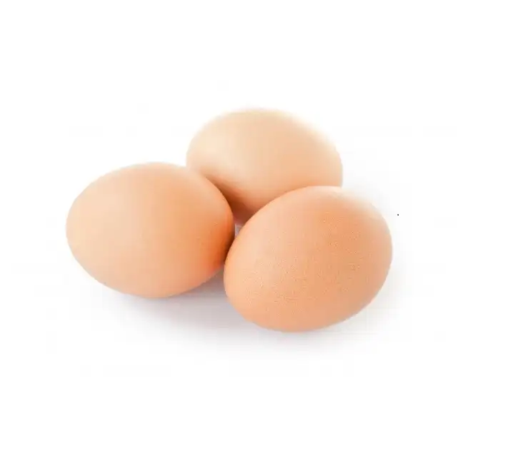 Taze organik beyaz ve kahverengi tavuk yumurta rekabetçi fiyat toptan-dünya çapında ihracat