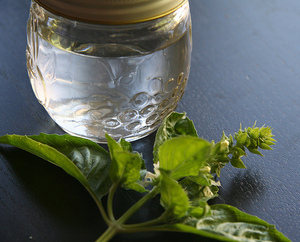 Repelente de insectos a base de hidrosol de albahaca, elaborado con hojas secas, destilado al vapor, certificado por GMP - Product Image 5